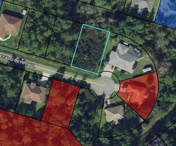 17 Buffalo Berry Pl, Palm Coast, FL, 32137