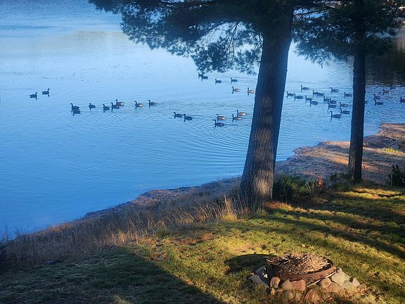 4th image of 7420 Southshore Dr