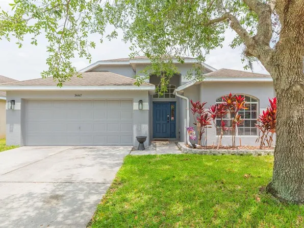 34447 BLUE ASH COURT, WESLEY CHAPEL, FL 33545