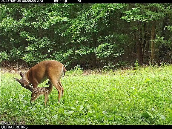 85th image of this home