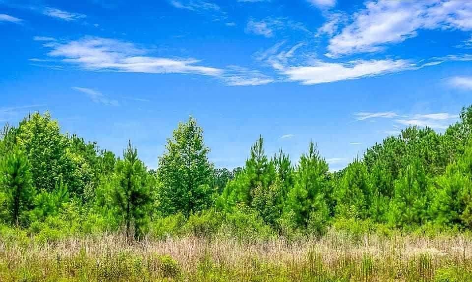 2nd image of Tbd Jasmine Rd