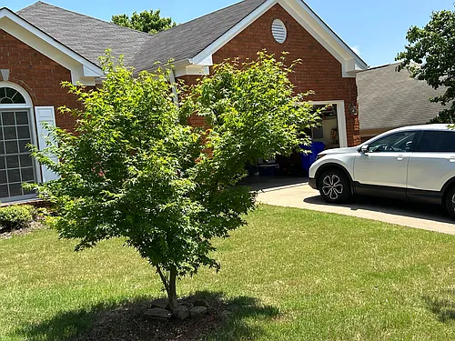 713 Rockford Cir Photo 1