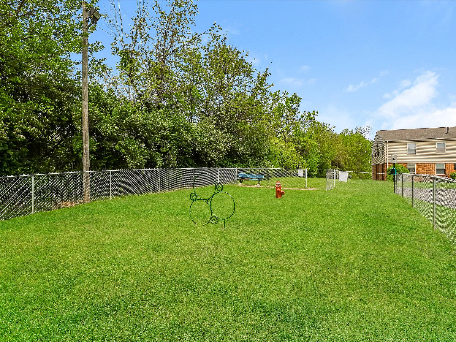 Vines at Saddlebrook — Photo 4
