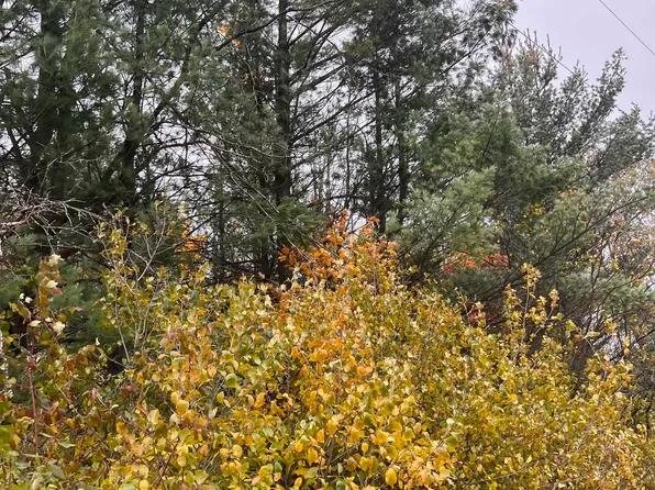 019A Shangrila Ln, Wautoma, WI 54982