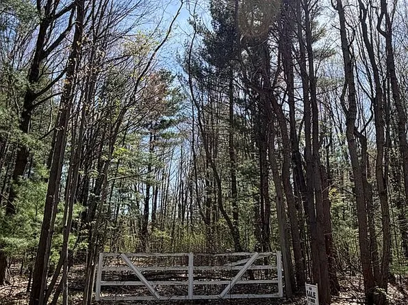 LOT Lange Rd, Birch Run, MI 48415