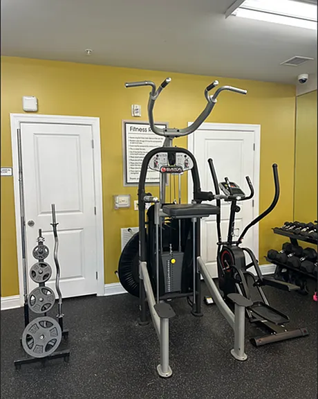 Vertical Knee Raise Dip Pull-Up Station