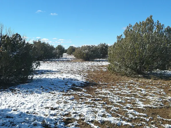 8577 Pine Ln, Snowflake, AZ 85937