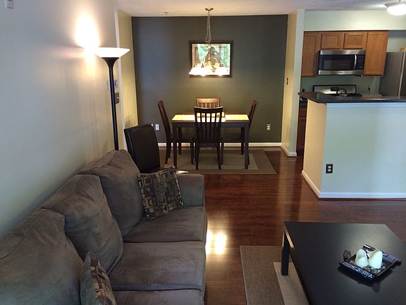Dining / Living Room