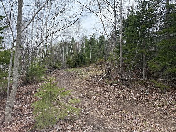 3rd image of 181 Ruston Rd