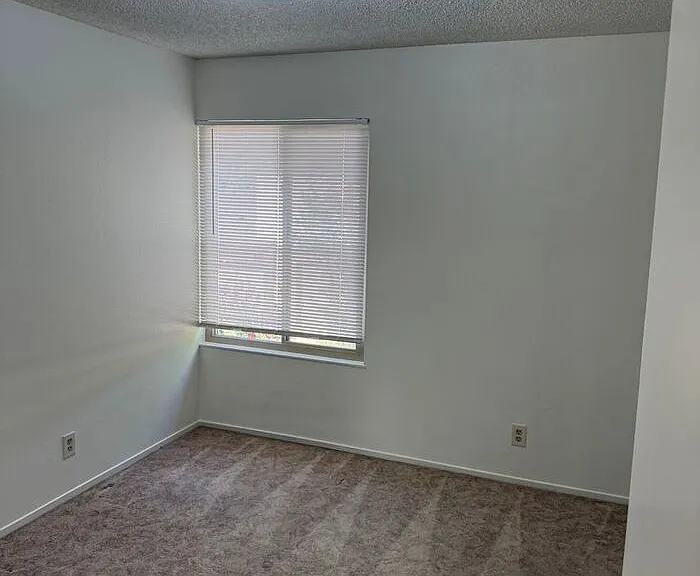 27830 Del Norte Ct — Photo 5