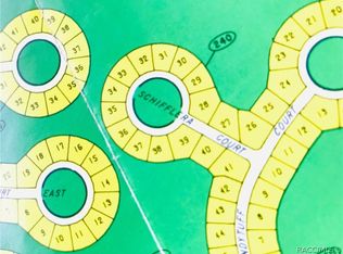 10 Schefflera Ct, Homosassa, FL 34446