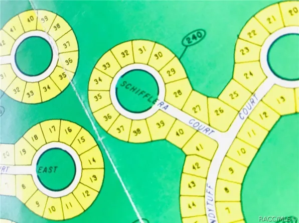 8 Schefflera Ct, Homosassa, FL 34446