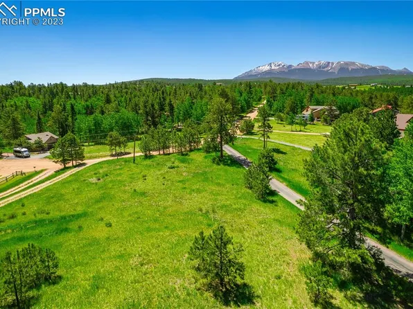 225 Rutgers Pl, Woodland Park, CO 80863