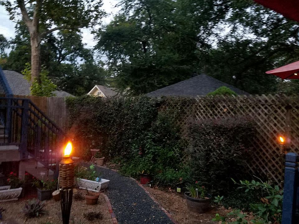 Back yard at night