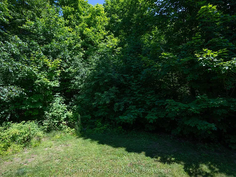 37 Silver St #16 — Photo 32