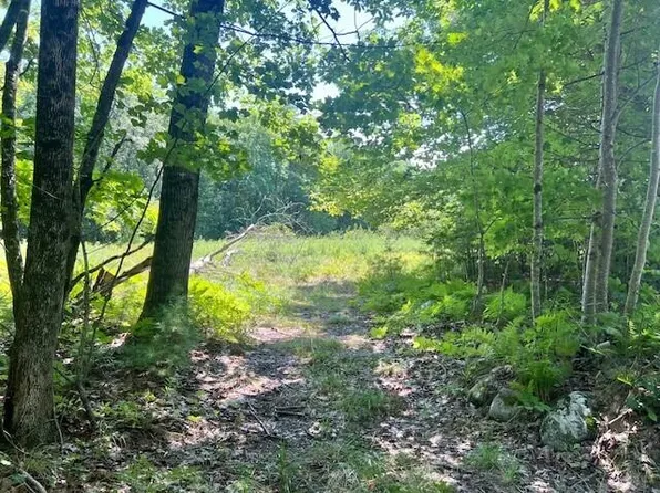 Lot 1 Hawk Mountain Road, Waterford, ME 04088