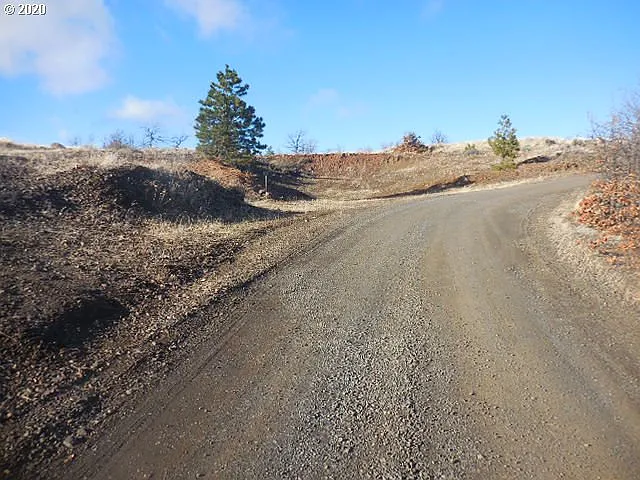 Timber Rd photo 1