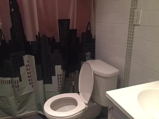 Rented by Brooklyn IQ Properties Inc | media 31