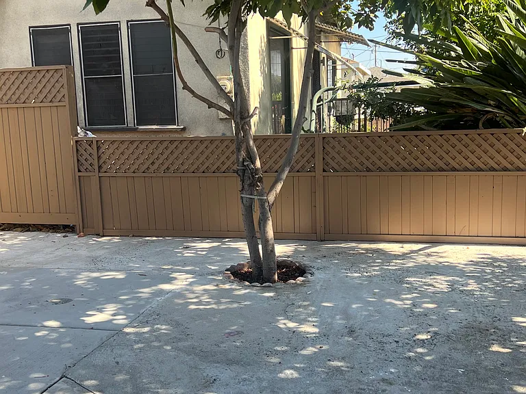 Anderson St — Photo 19