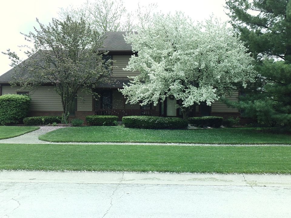 Wooded front yard