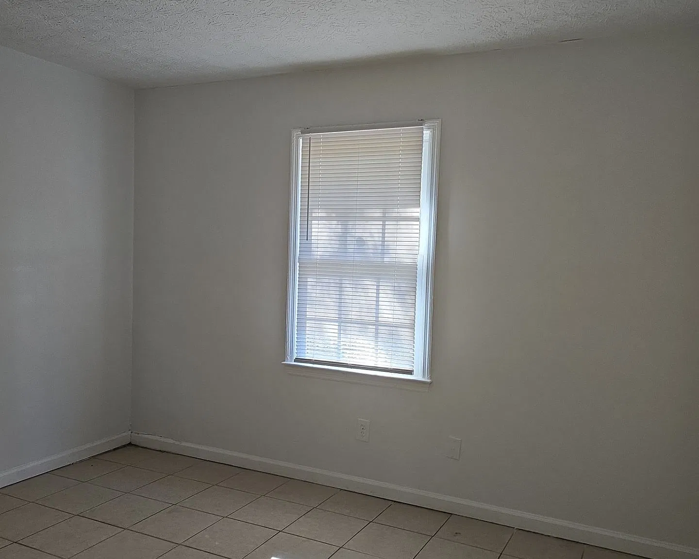 2 bed, 875 sqft, $1,100 — Photo 4