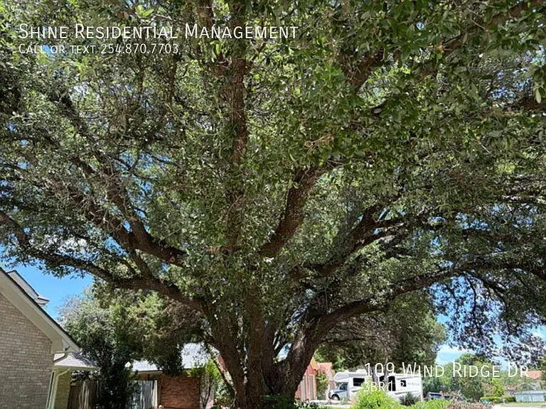 109 Wind Ridge Dr — Photo 4