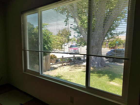 View from the livingroom
