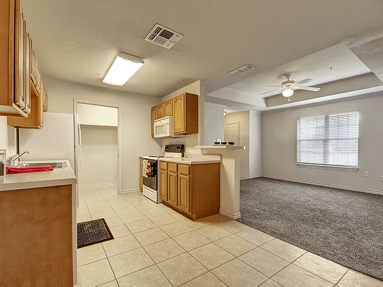 Open Concept Kitchen Layouts