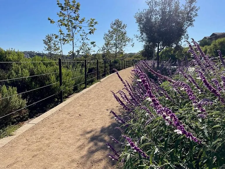 Simba Way — Photo 12