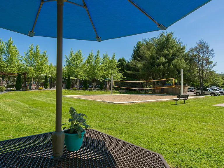 Enjoy delightful picnics at our shaded tables, complete with charcoal grills.
