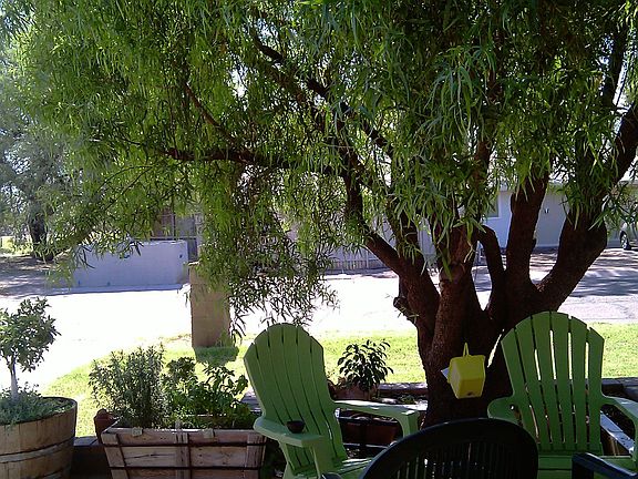 5th image of 4728 E Palm Ln