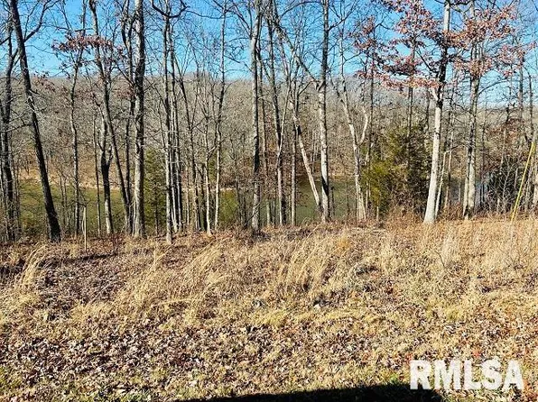 75 Saluki Way, Goreville, IL 62939