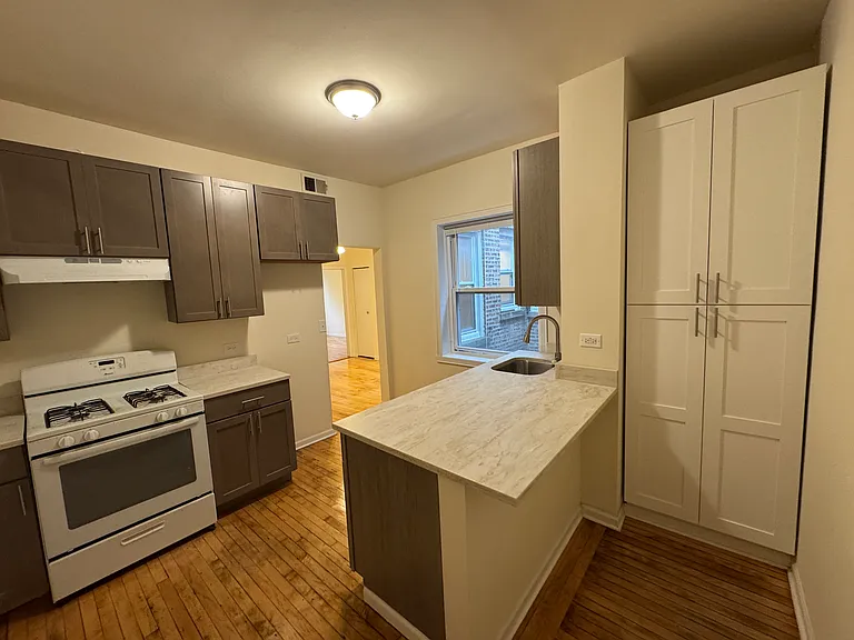 923 N Leavitt St #2 — Photo 9