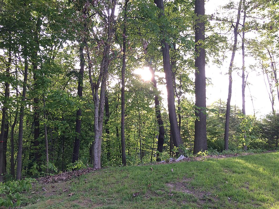 1st image of Lot #18