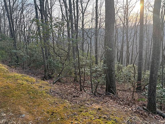 4th image of LOT-33A Watauga Rd