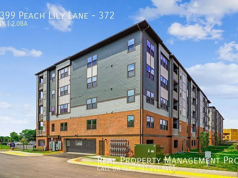 4399 Peach Lily Ln #372 — Photo 3