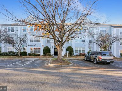 14104 Valleyfield Dr #95, Silver Spring, MD, 20906