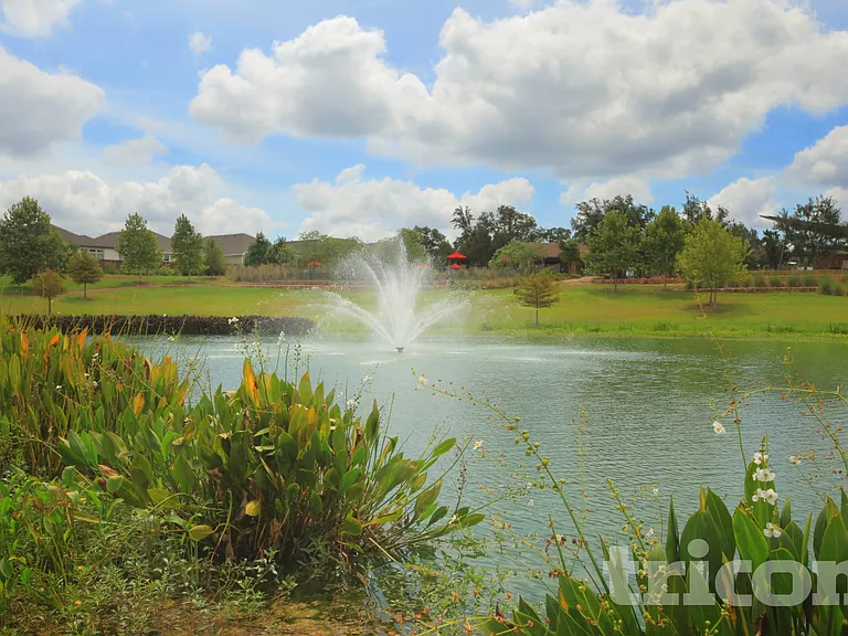 445 Raglands Rd — Photo 23