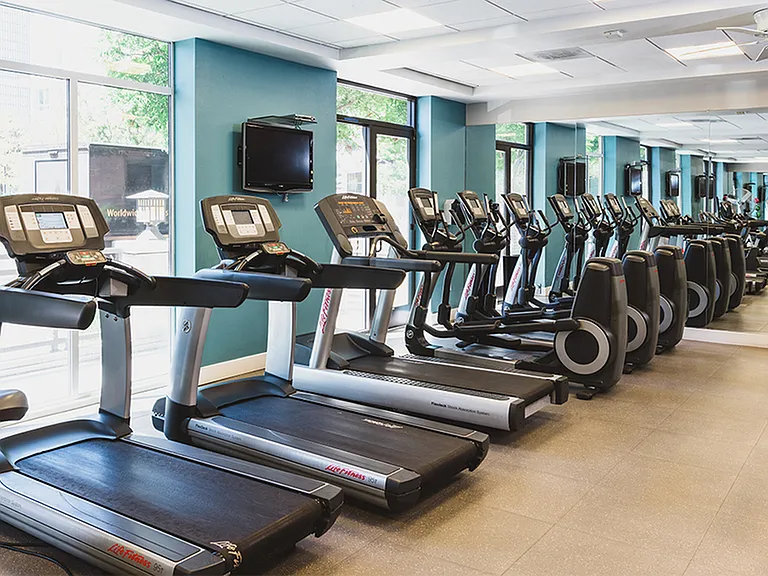 Treadmills and elliptical machines in gym