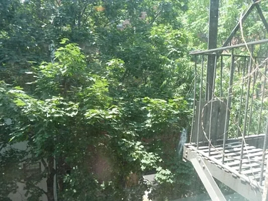 Rented by Citi Habitats | media 39