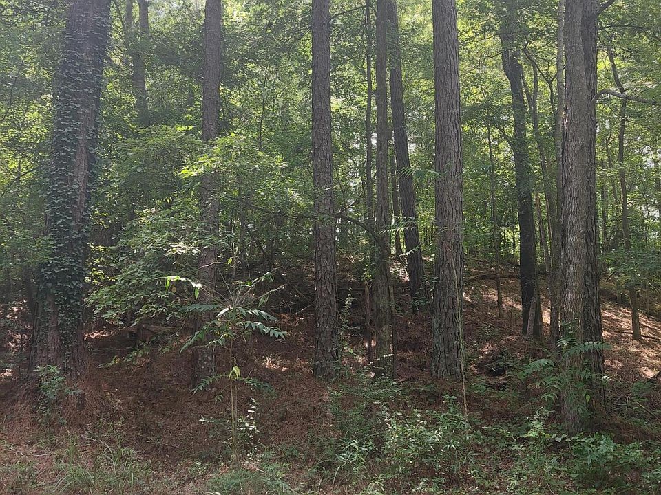 2nd image of 1900 Deerwood Pl