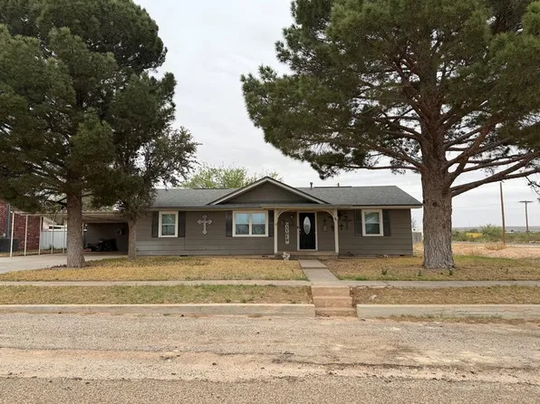 102 Walnut Ave, McCamey, TX 79752
