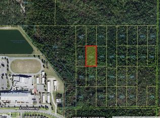 N Goodman Rd, Kissimmee, FL 34747