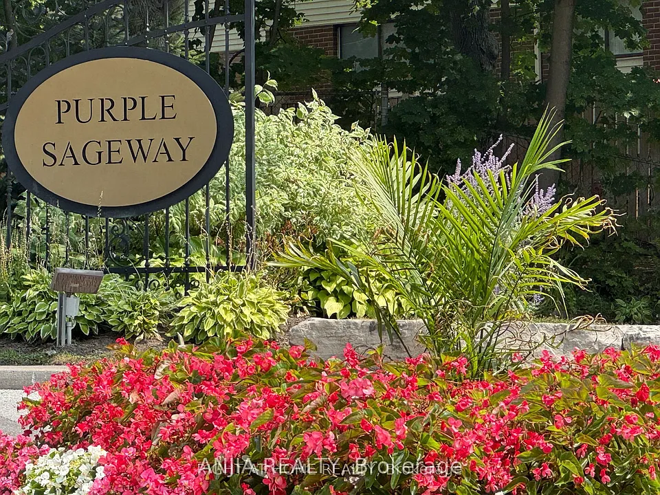 7 Purple Sageway