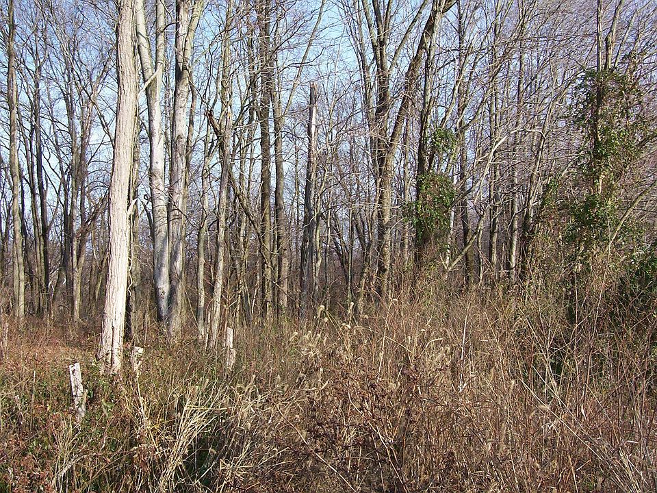 2nd image of 4881 S State Road 203