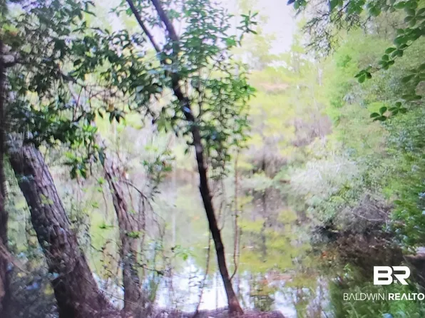 0 Juniper Rd, Seminole, AL 36574