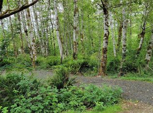 13 W Quillayute Dr, Elma, WA