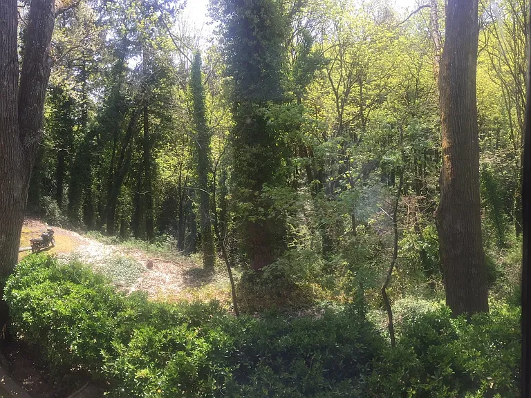 Marquam Nature Park