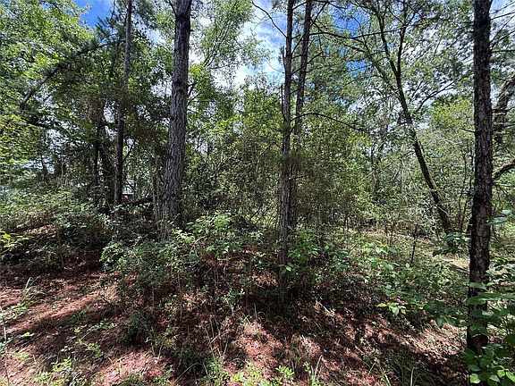5th image of Arrow Head Ln Lot 269