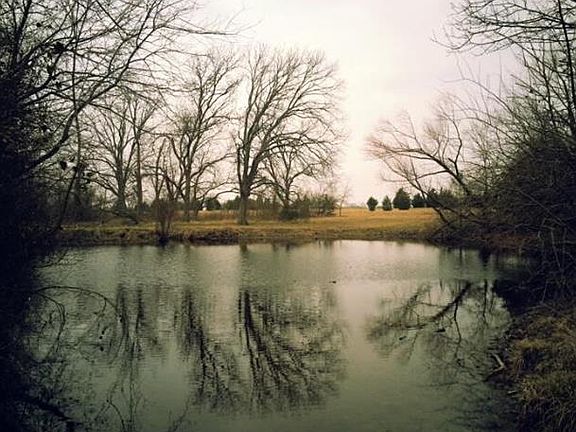 3rd image of 4938 County Road 4410